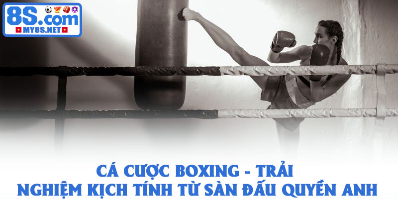 Cá cược boxing - Trải nghiệm kịch tính từ sàn đấu quyền Anh 1 Cá cược boxing - Trải nghiệm kịch tính từ sàn đấu quyền Anh