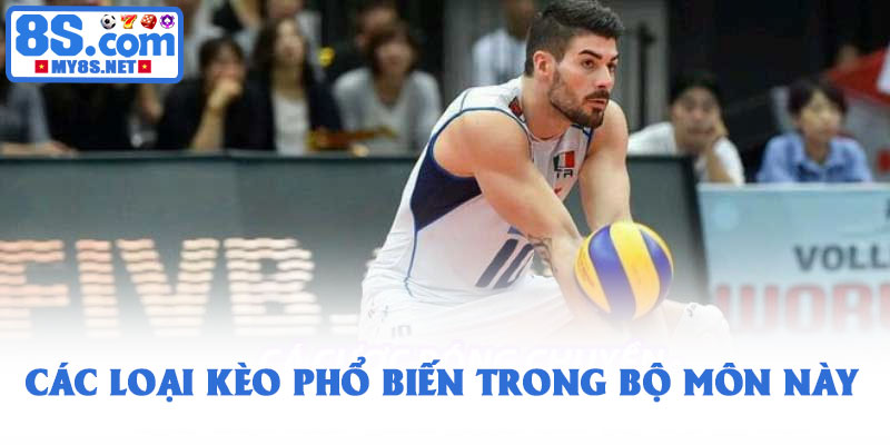 Cá độ bóng chuyền - Hình thức giải trí đầy kịch tính tại 8S 2 Các loại kèo phổ biến trong bộ môn này