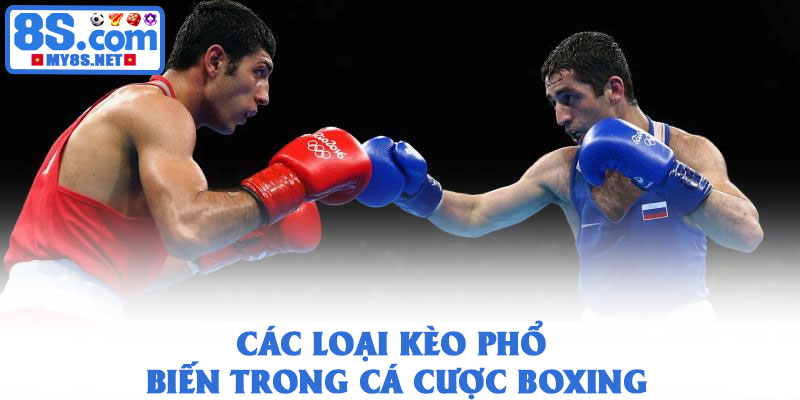 Cá cược boxing - Trải nghiệm kịch tính từ sàn đấu quyền Anh 2 Các loại kèo phổ biến trong cá cược boxing